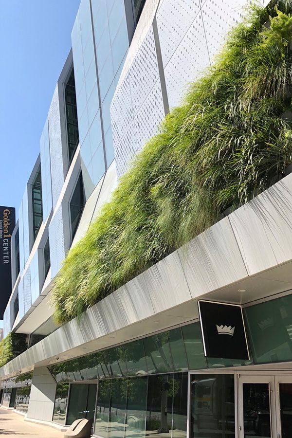 Living wall at Golden 1 Center Arena in Sacramento, California.