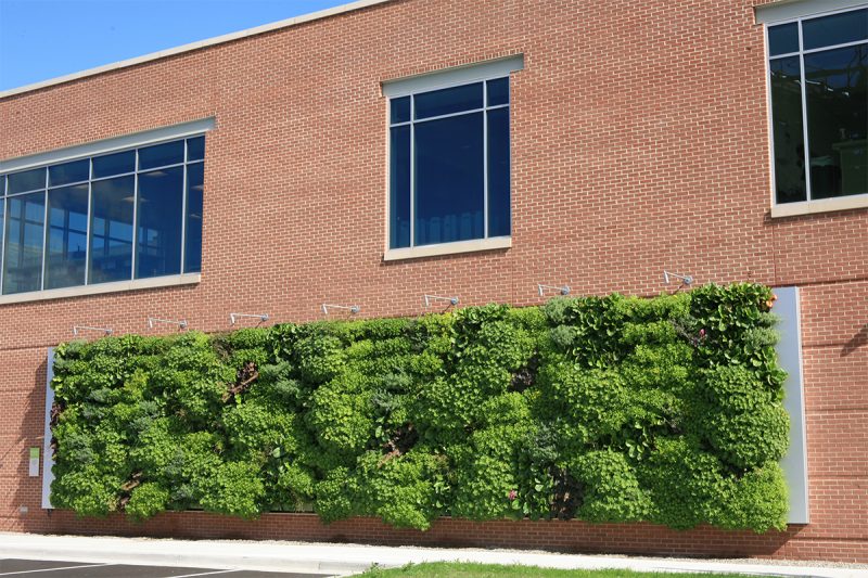 Grand Rapids Downtown Market Perennial Green Wall - LiveWall Green Wall ...