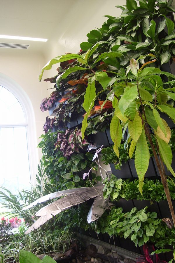 Demonstration plant wall in the Butterfly Atrium at Hershey Gardens.