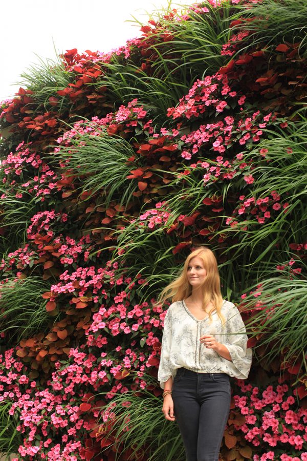 Flowing combination of annuals in a living wall with lemon grass.