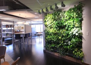 Indoor living wall at Wege Foundation office in Grand Rapids, Michigan.