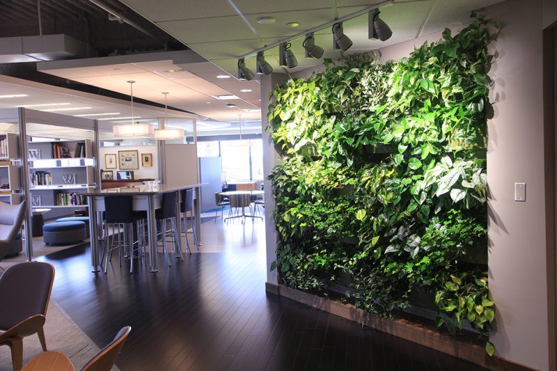 Wege Foundation Indoor Living Wall - LiveWall Green Wall System