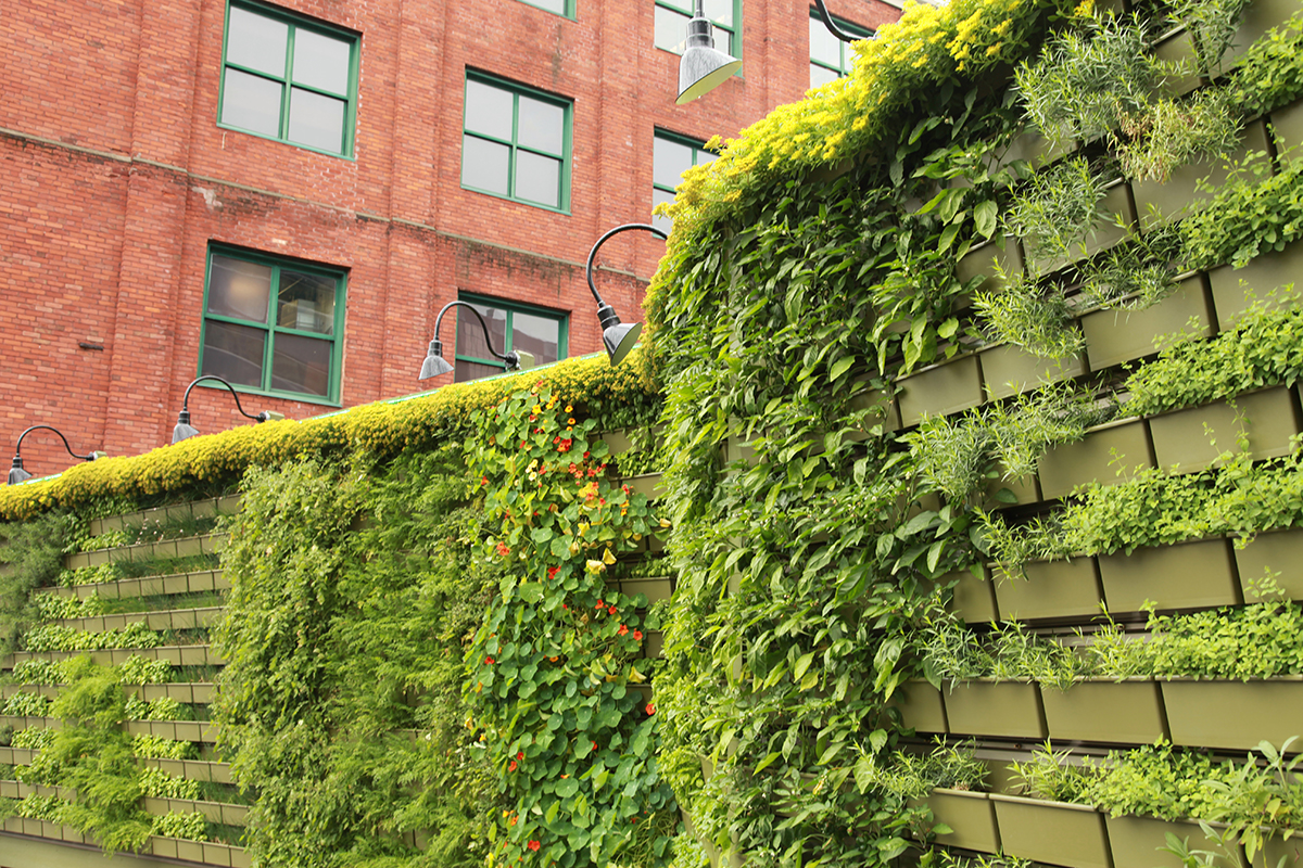 Vertical gardens used for growing herbs and vegetables require abundant sunlight.