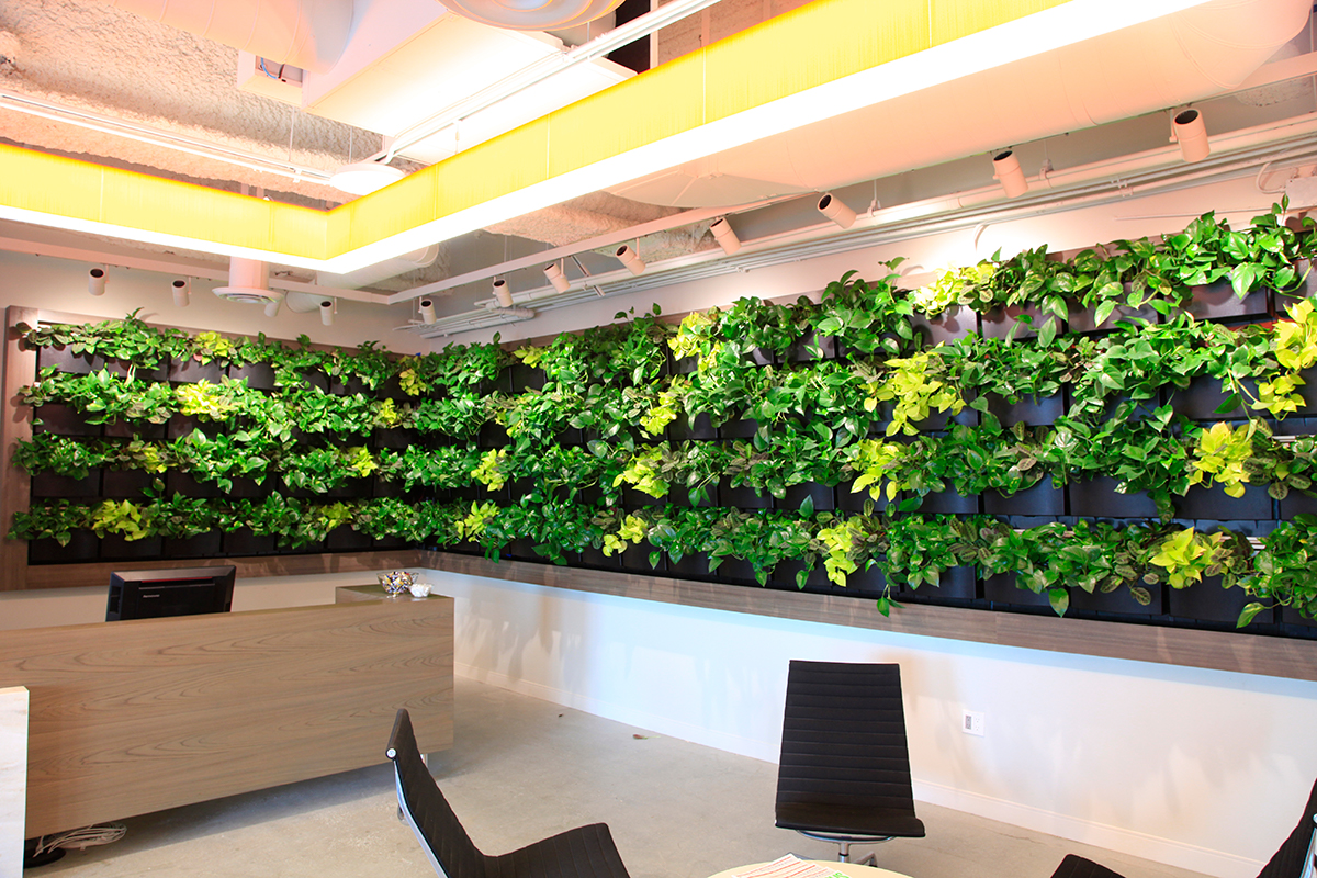 LiveWall system with finished facing material over side-feed irrigation.