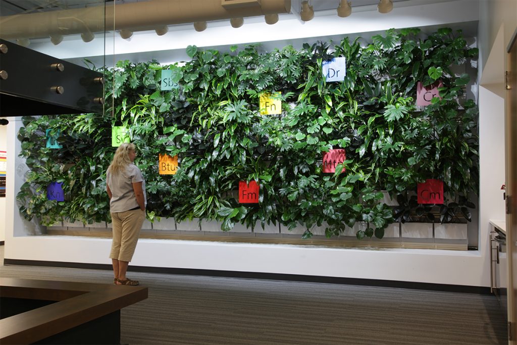 Applied Imaging Corporate Office Interior Lobby Living Wall