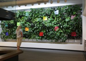 Applied Imaging welcomes visitors and staff to its corporate office with a lush, green planted wall.