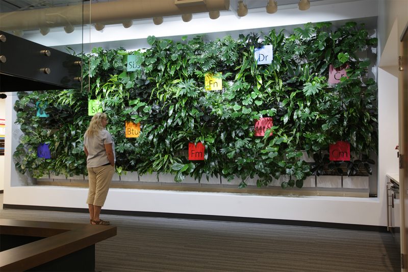 Applied Imaging Corporate Office Interior Lobby Living Wall - LiveWall ... - Living Walls For Corporate Offices