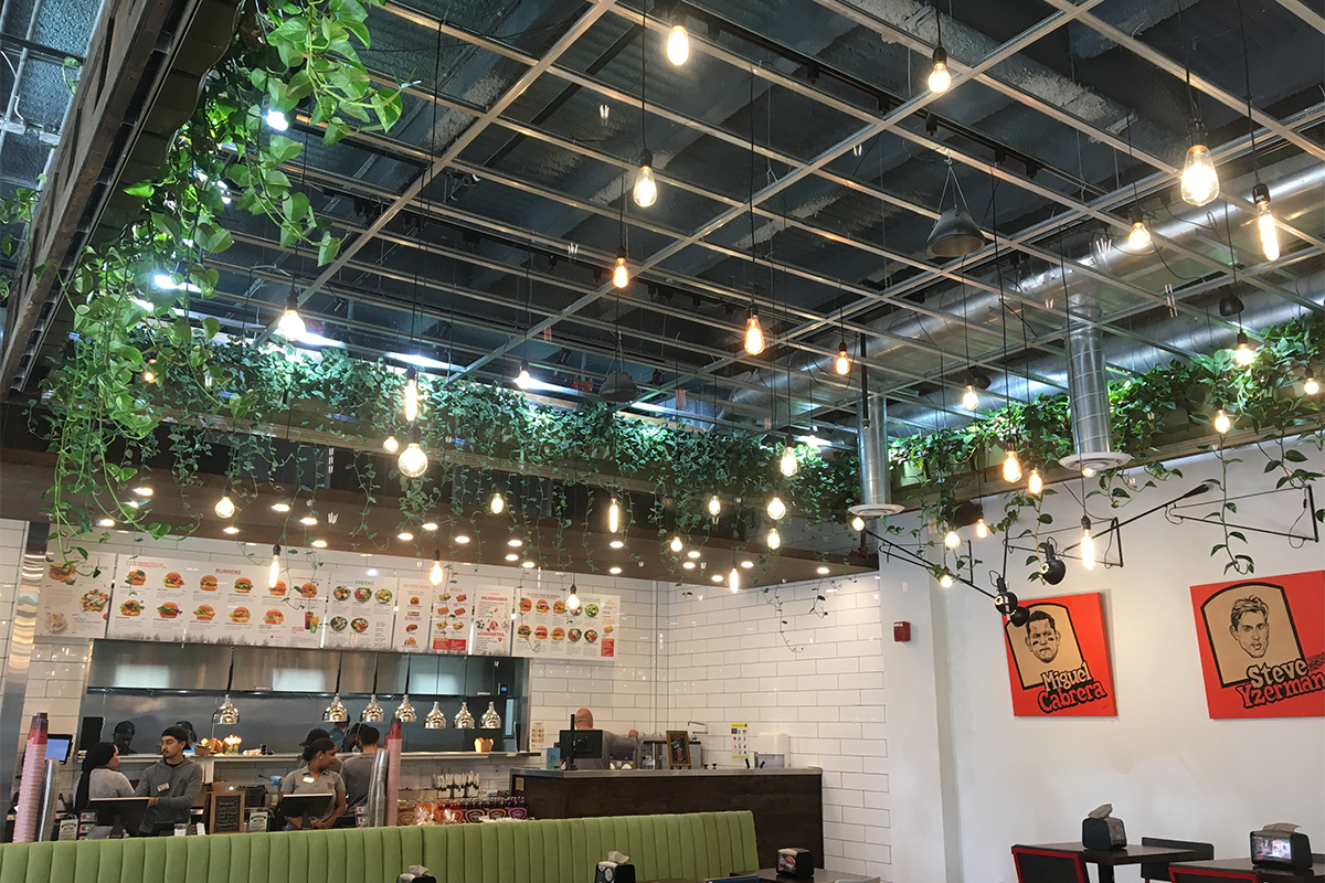 Living wall at Brome is featured on the ceiling.