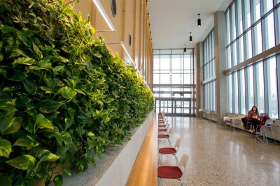 One of two green walls at Central Michigan University.
