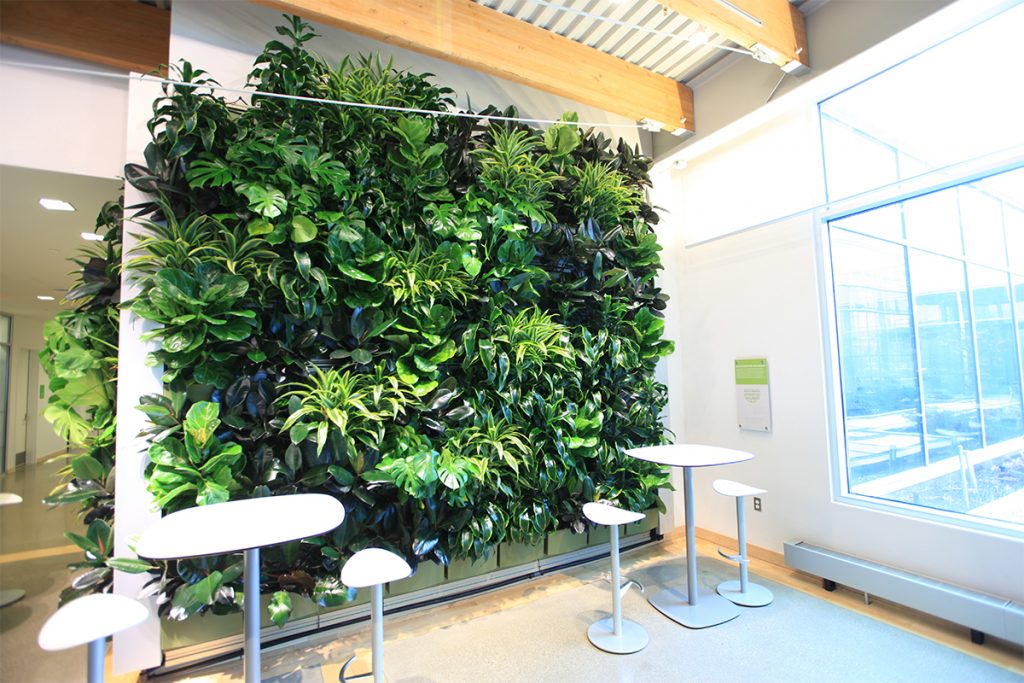 indoor living herb wall