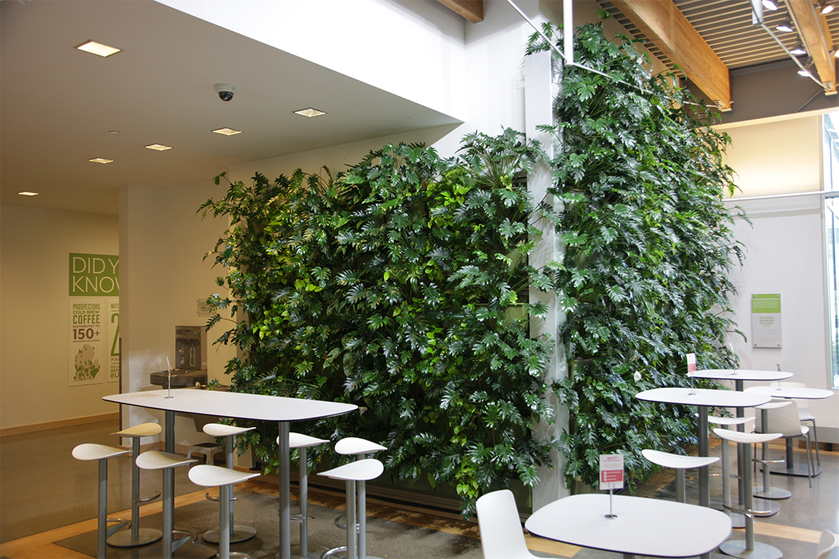 Grand Rapids Downtown Market Indoor living Wall planted with Pothos and Philodendron