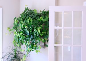 LiveWall with hedera neon