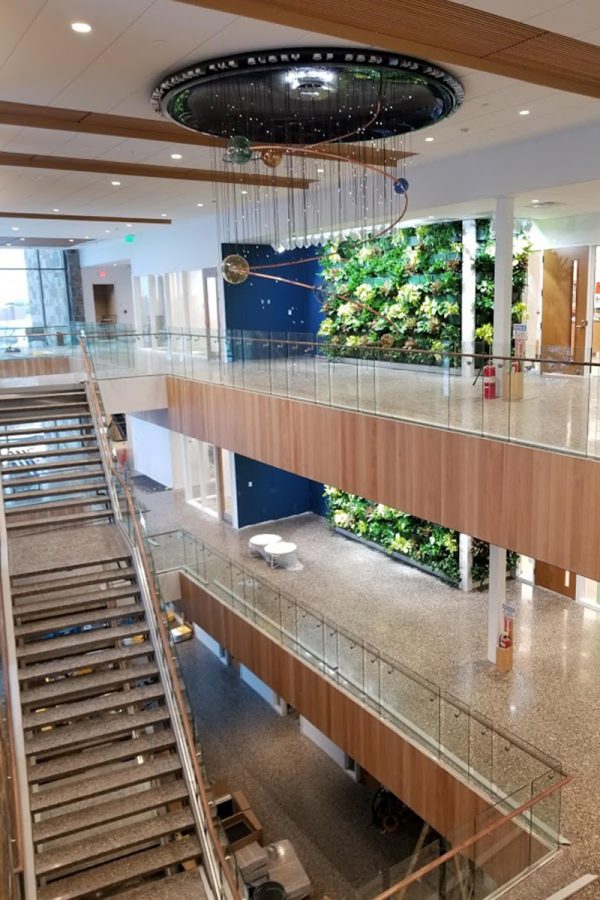 Cornerstone University's STEM Building indoor living walls on the day of planting.