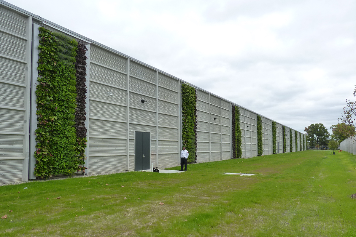 Newly planted living walls on a data center exterior.