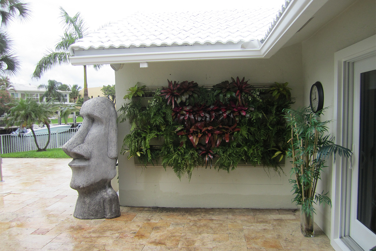 Newly planted residential living wall installation in south Florida.