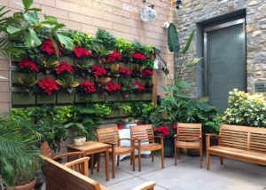 Outdoor courtyard with a gorgeous living wall at Moss Rehab