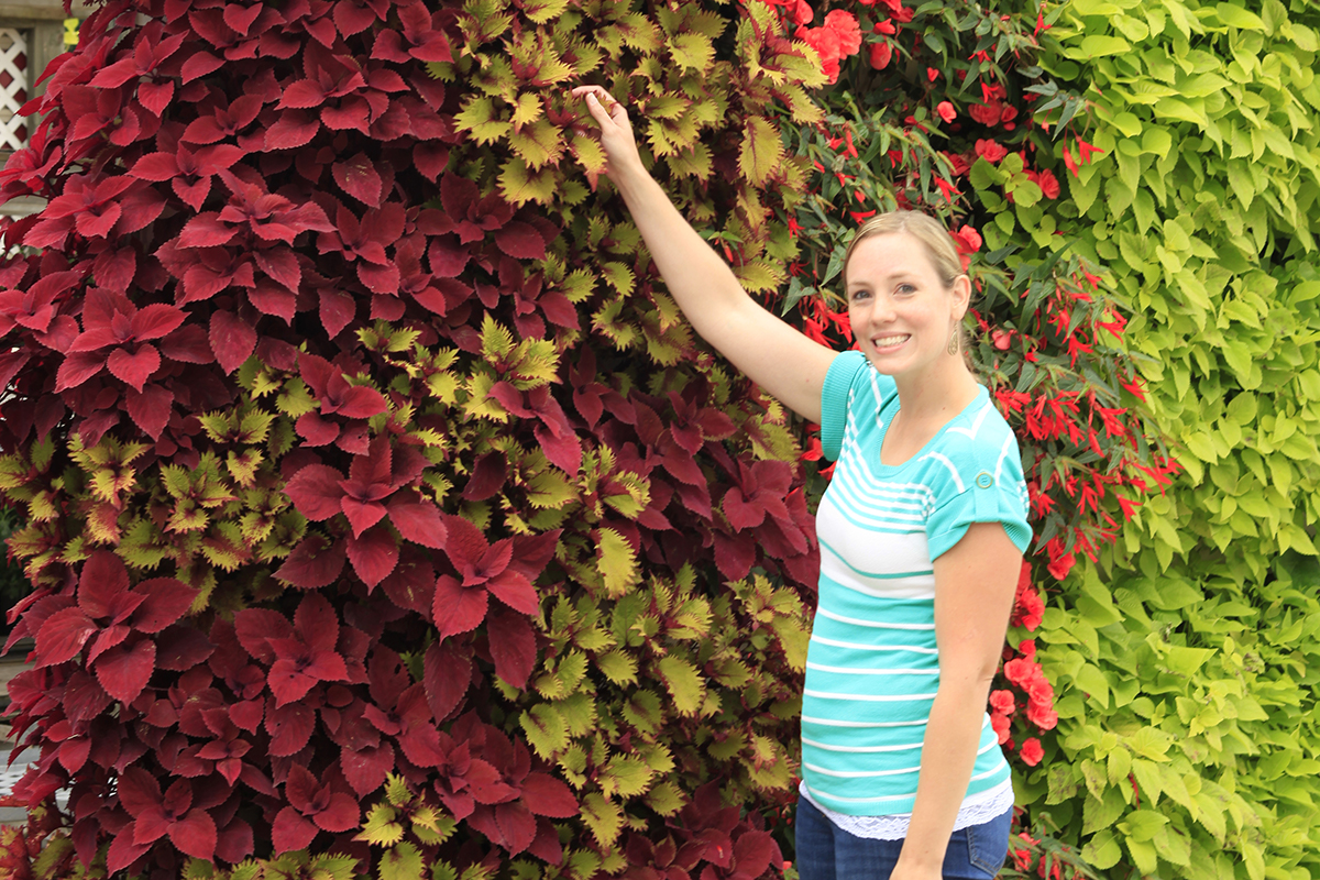 Woman admiring a LiveWall living wall planted with red and green coleus.