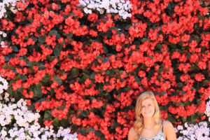 Begonia 'Big Red' in Heart-Patterned LiveWall System