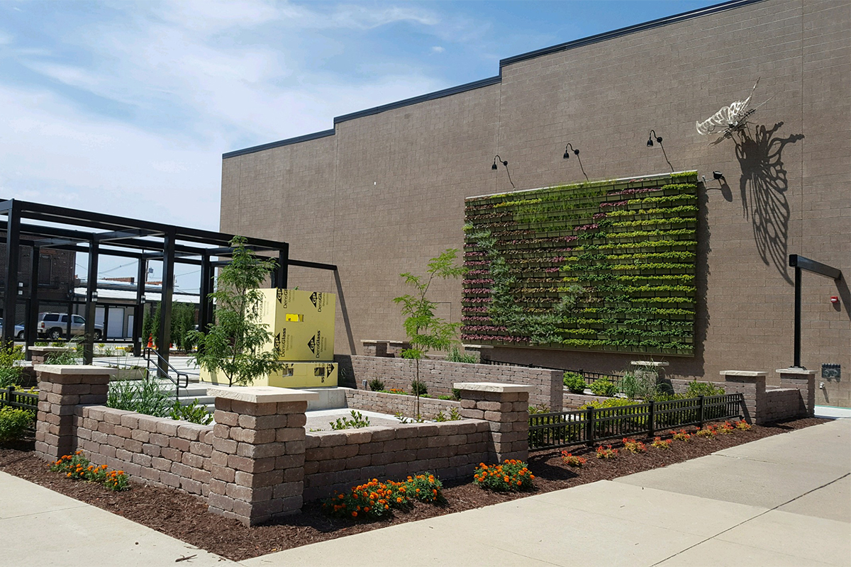 Newly planted wall of perennials on Kibbey Building in Marshalltown, Iowa.