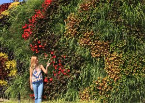 This living wall is planted in waves of color, with grasses that add motion and texture.