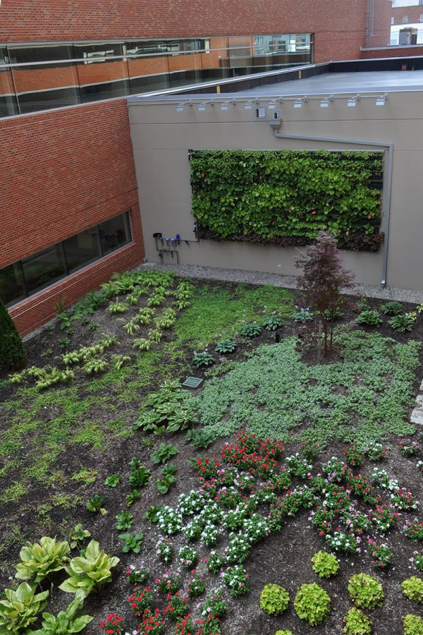 Lower level living wall with newly planted garden at Hope Tower JSMC.