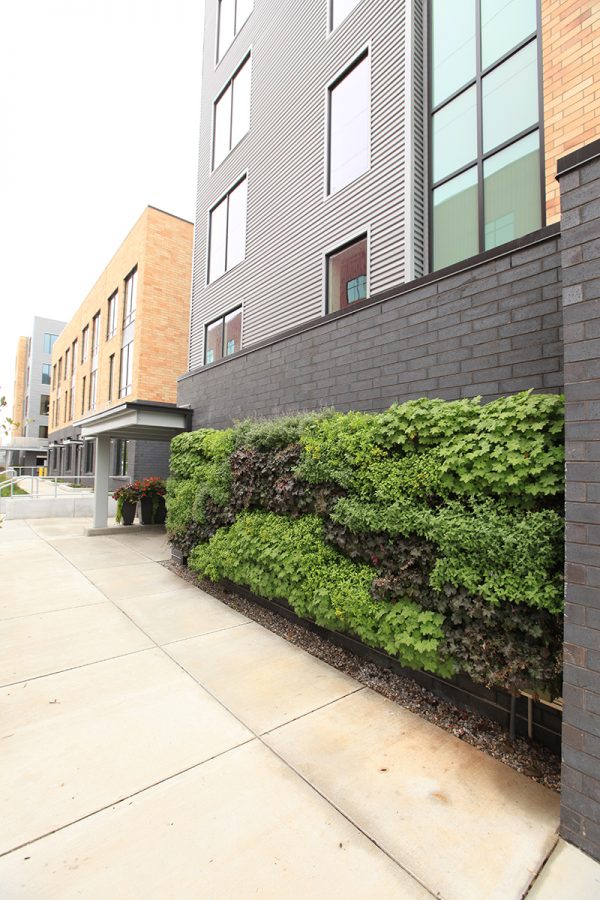 Outdoor living wall planted with perennials in the shape of an arch at 234 Market in Grand Rapids, Michigan.