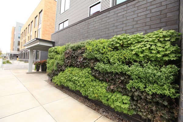 234 Market Apartments' Green Wall - LiveWall Green Wall System