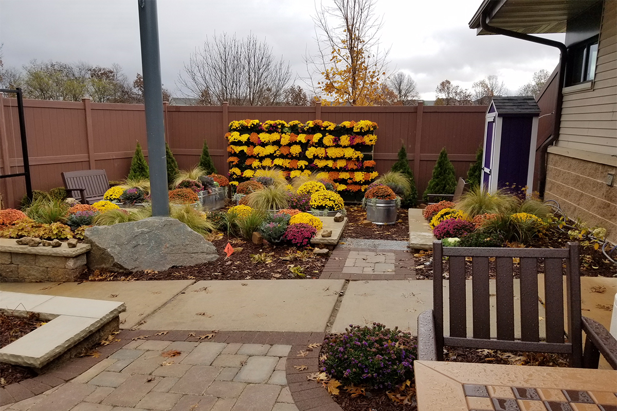 Meriter Gathering Garden with Fall Mums planted in green wall.