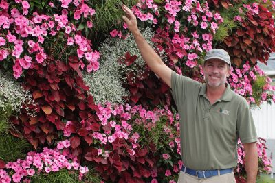 Living walls planted with annuals are very easy regardless of climate, with comparatively fewer maintenance events than perennials.