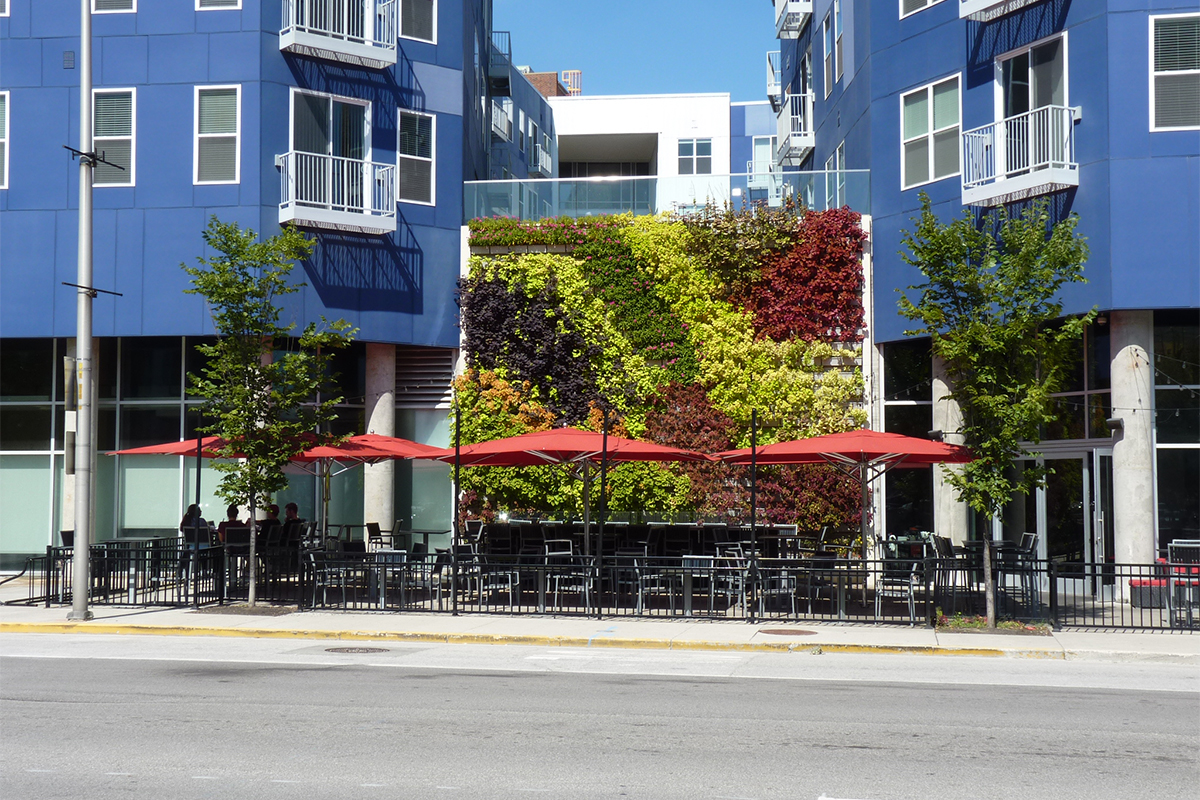 Dramatic planting of annuals in outdoor green wall at Pullium Square.