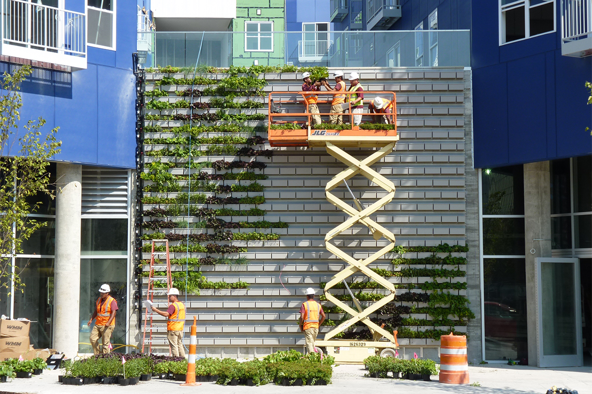 Installation of plants on the Pullium Square apartments in Indianapolis, Indiana.