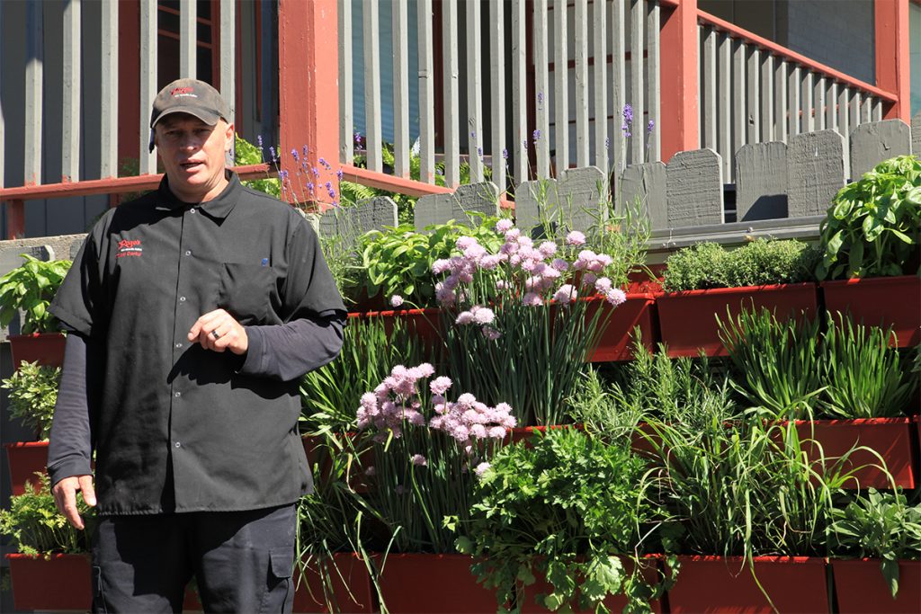 Chef's Herb Wall at Rose's Restaurant
