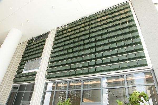 Living wall structure at SLS LUX, ready for planting.