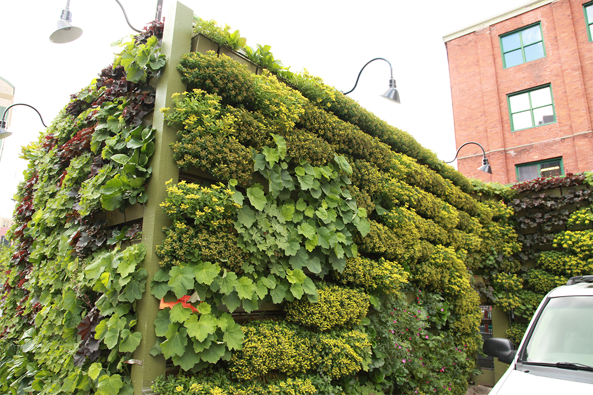Green wall enclosure for HVAC equipment and dumpsters.