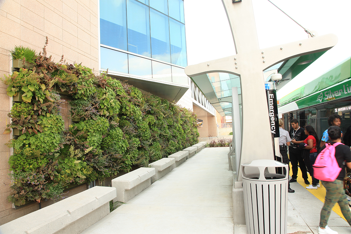 The Rapid planted with perennials in 2014.