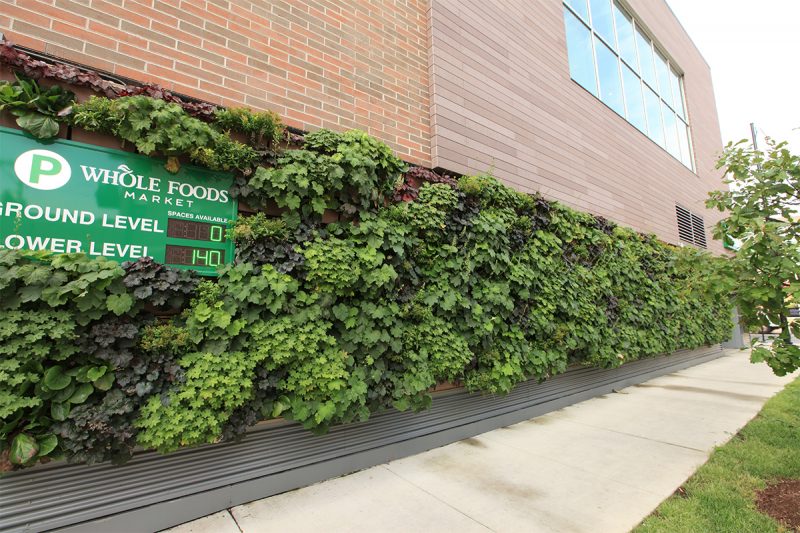 Living wall on a Whole Foods parking garage.