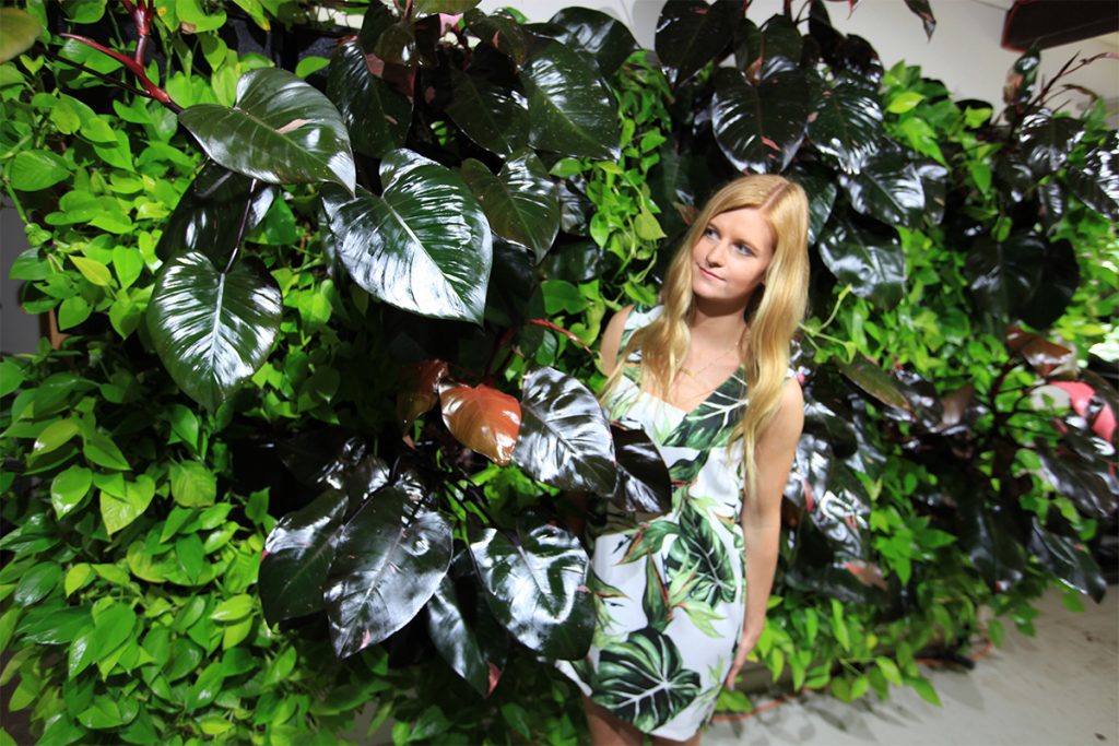Philodendron with Pothos in Green Wall