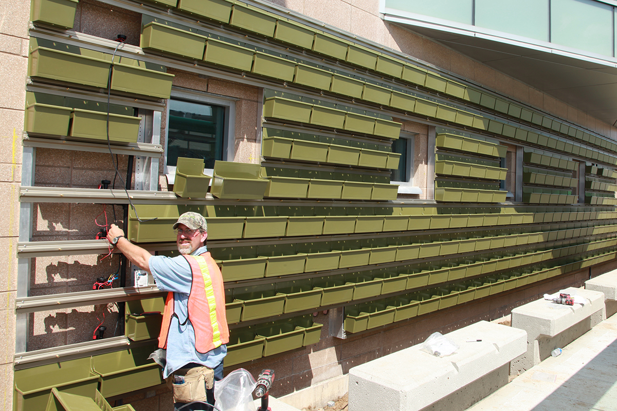 Frequently Asked Questions about LiveWall brand green wall installation.