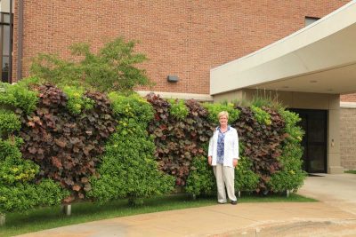 Green wall plants support mental and physical recovery for patients in healthcare settings.