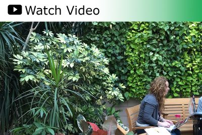 Watch Video: Therapeutic living wall in Moss Rehab's Sachs Conservatory.