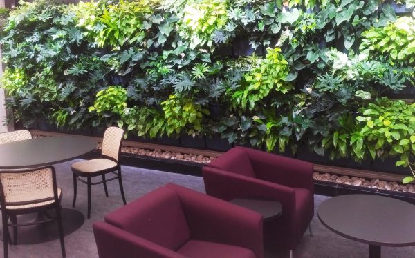 The green wall at Trent University provides a comfortable backdrop for students using the library.