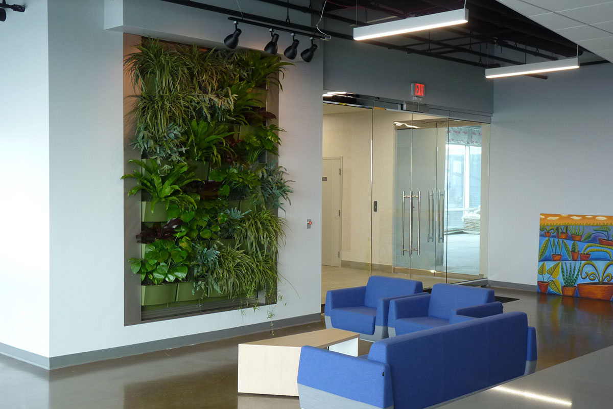 Newly planted green wall at McGarry Bair law firm in Grand Rapids, Michigan.