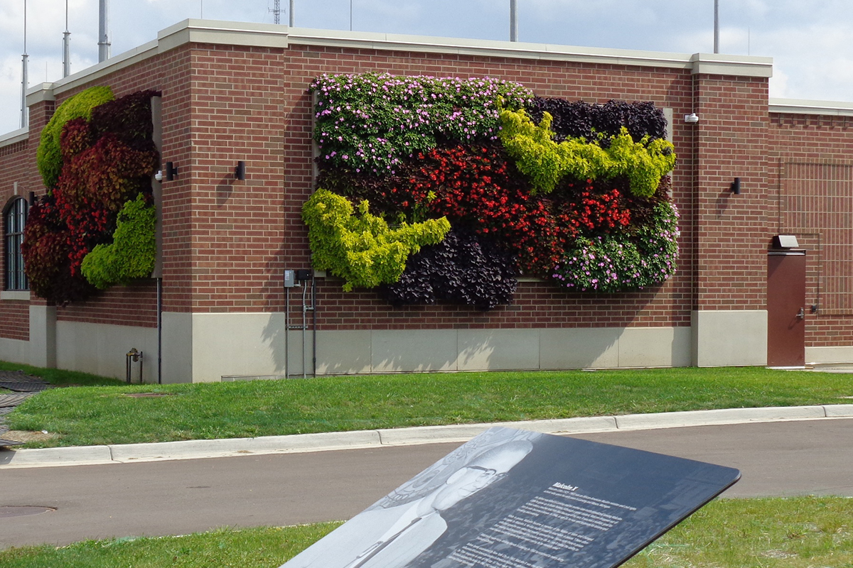 Multi-colored annuals in the Lansing Board of Water & Light's green wall.
