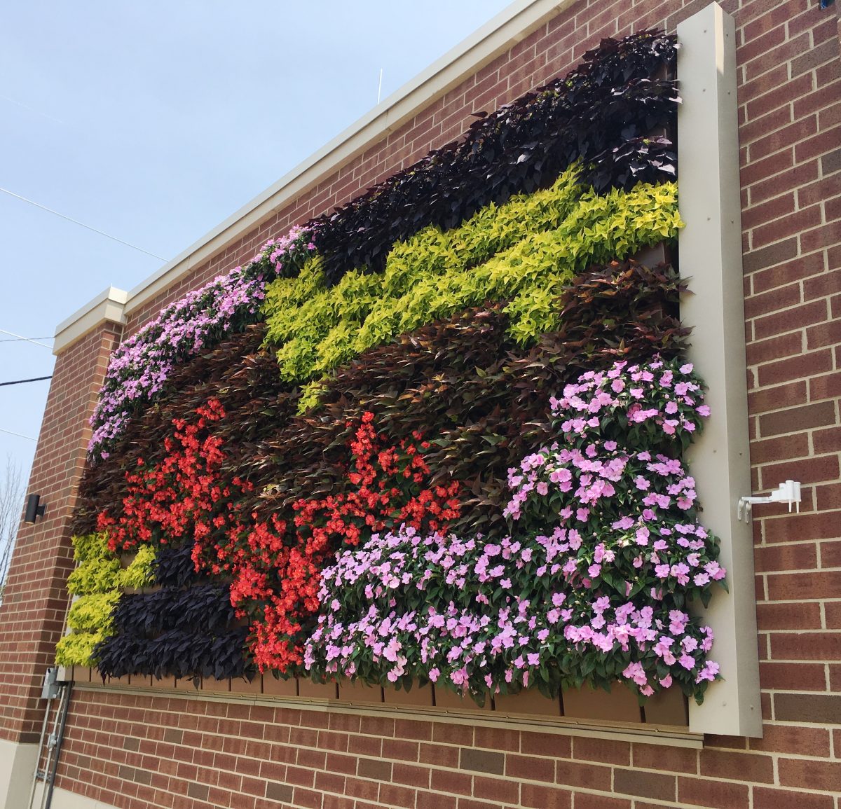 Lansing Board of Water & Light Features an Outdoor Living Wall on its