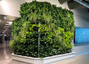 Lush, green tropical plants growing in the ATW living wall