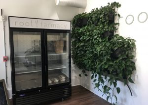 Root Functional Medicine's Green Wall Helps to Purify the Air in their Shop