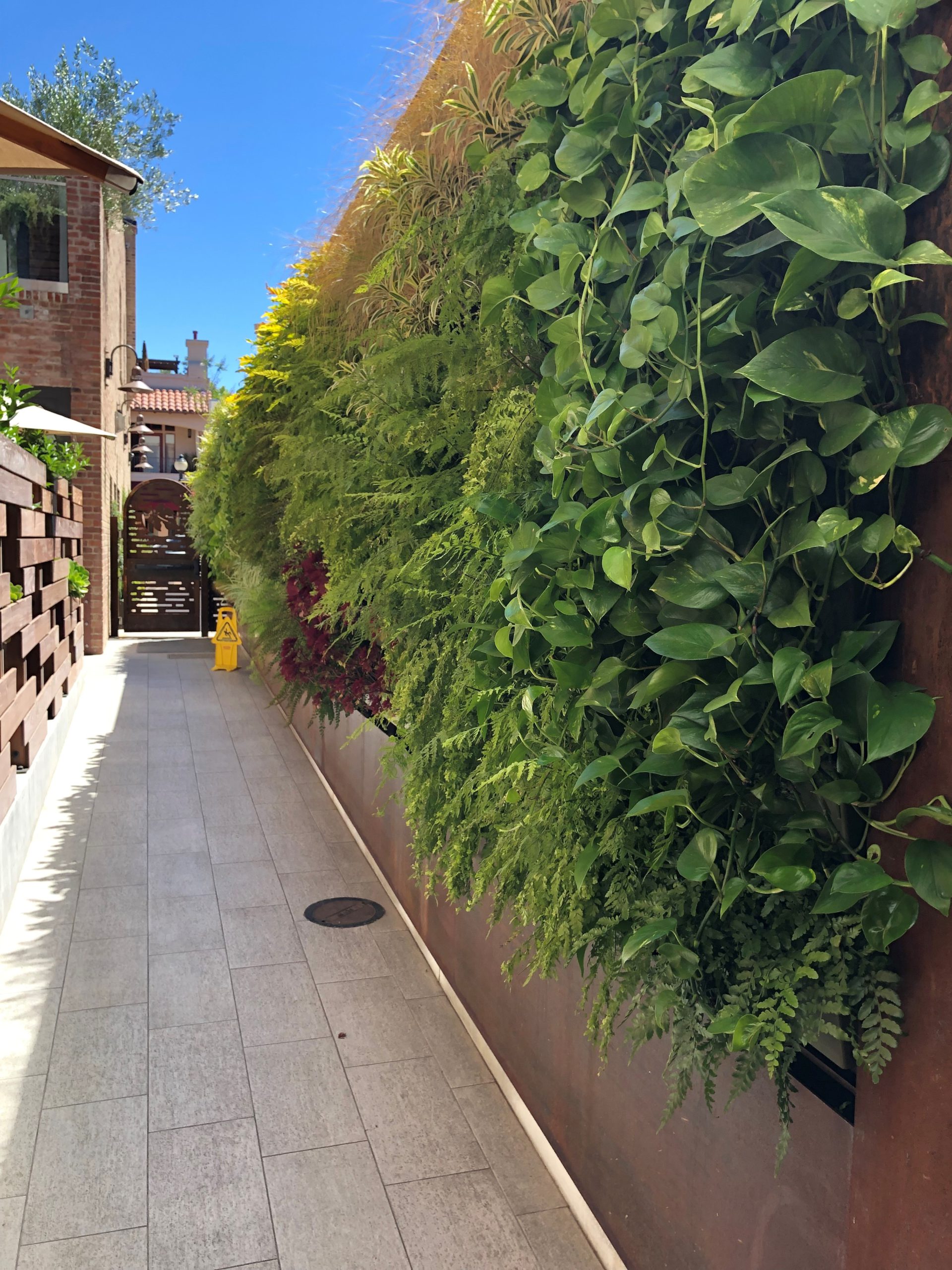 West end of the green wall at Hotel Cerro in California