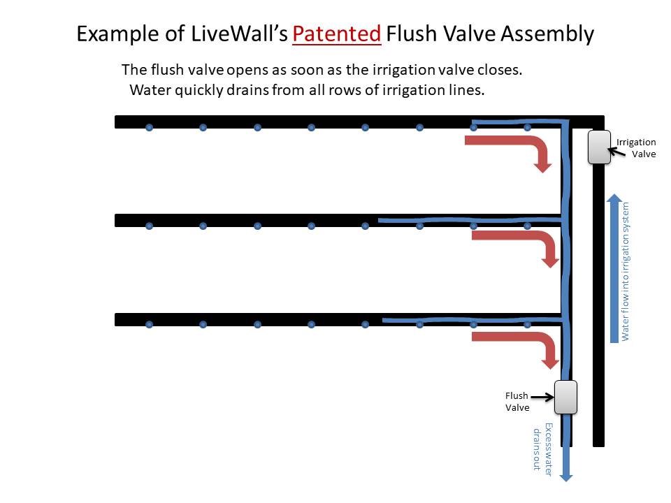 GREEN WALL PATENTED LIVEWALL LIVING WALL STRUCTURE FLUSH VALVE IRRIGATION ASSEMBLY