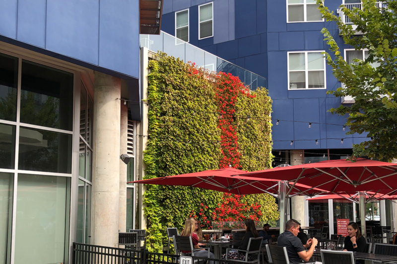 Living wall with outdoor seating umbrellas in urban setting.