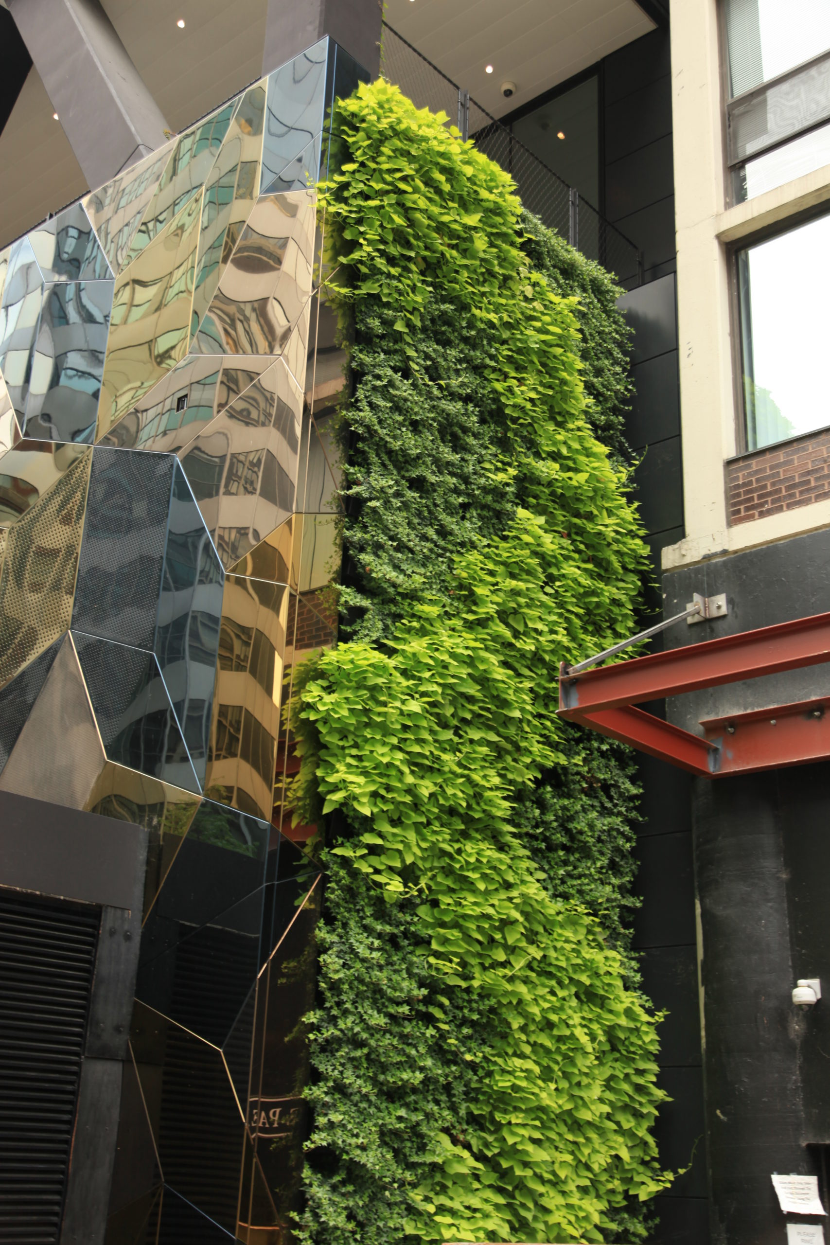 Close-up view of E=MC2's vertical living wall